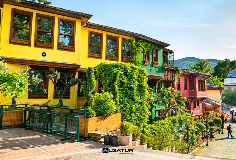 Historical Bursa Houses